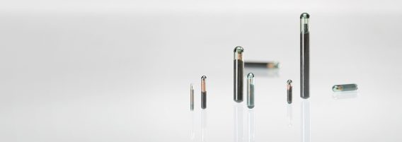 Microchips FDX-B HDX
